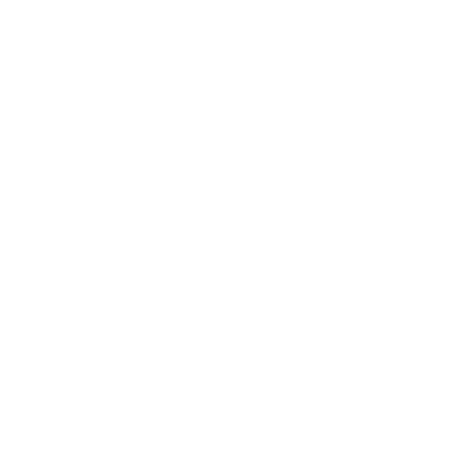 Leonardo V. Academy Logo